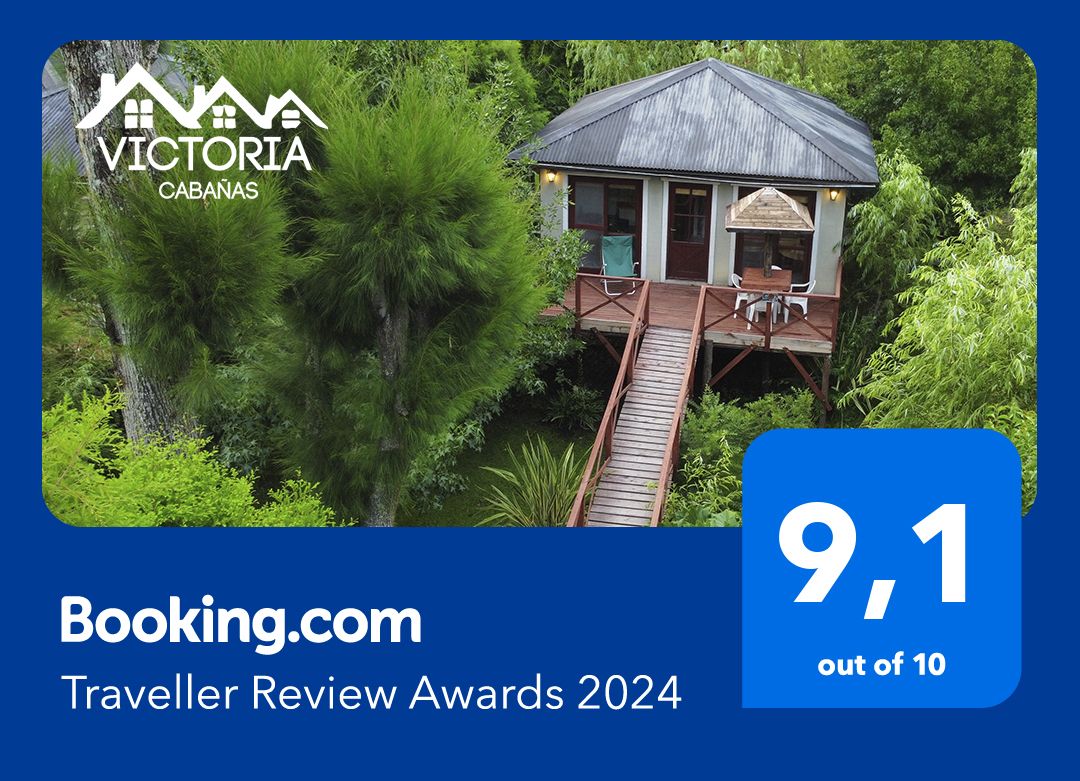 Cabaña en medio de una exuberante vegetación con una pasarela de madera; puntuación de 9,1 sobre 10 en Booking.com.