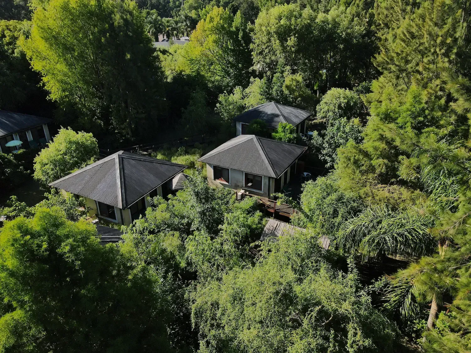 Bosque frondoso con varias casas, de las que se ven los tejados oscuros. Una densa vegetación verde rodea las construcciones.