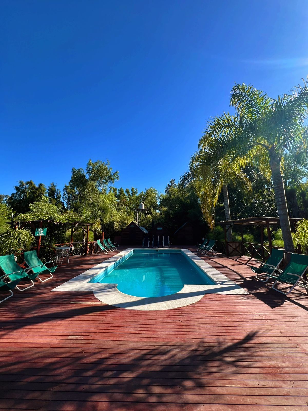 Piscina rodeada por una terraza de madera con tumbonas verdes. Palmeras y un cielo azul despejado al fondo.
