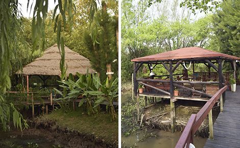 Dos cenadores de madera elevados, rodeados de exuberante vegetación, uno con techo de paja y el otro con techo de madera.