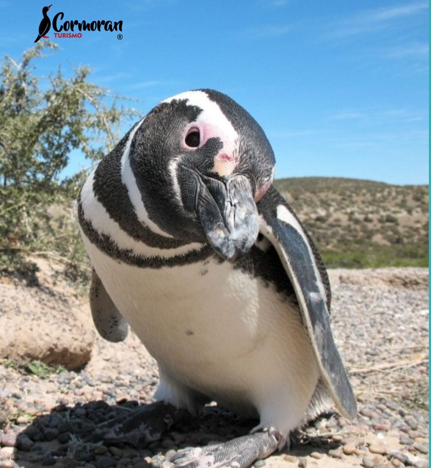 Puerto Madryn