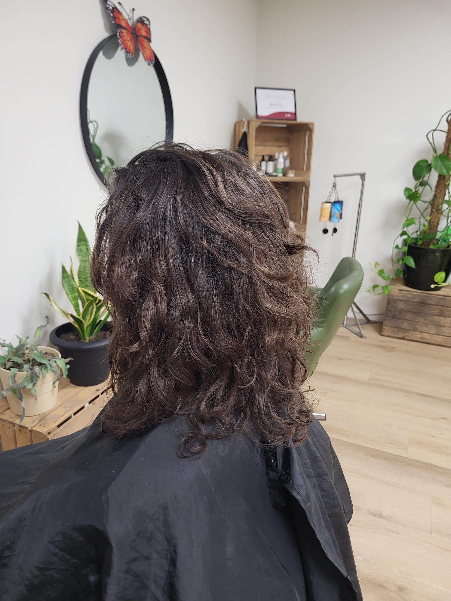 Een persoon met krullend donker haar zit in een kappersstoel, van achteren gezien, met spiegels en planten op de achtergrond.