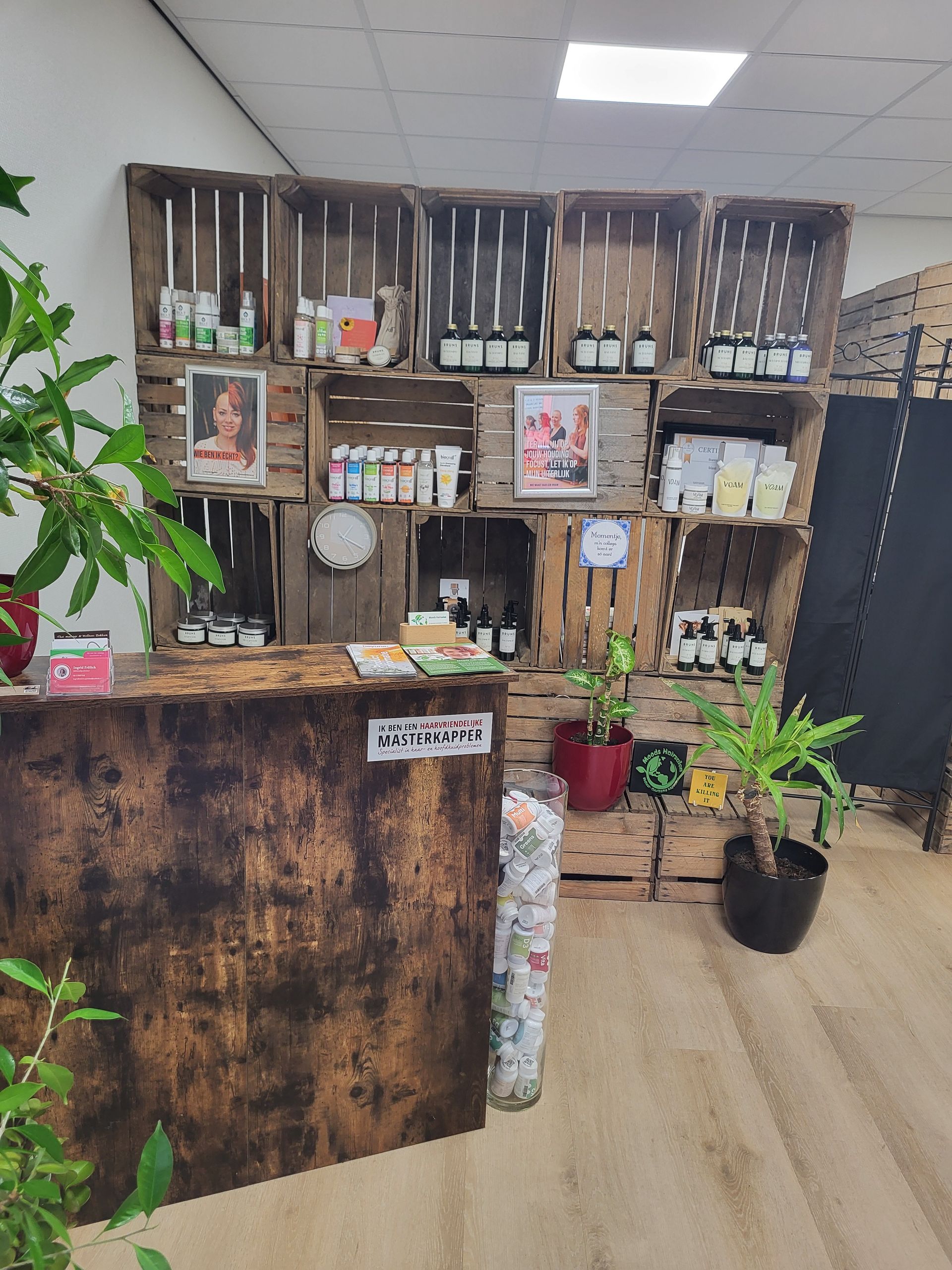 Rustieke kamerplantenpresentatie met houten planken, ingelijste foto's, hangende decoraties en potplanten op een bureau en de vloer.