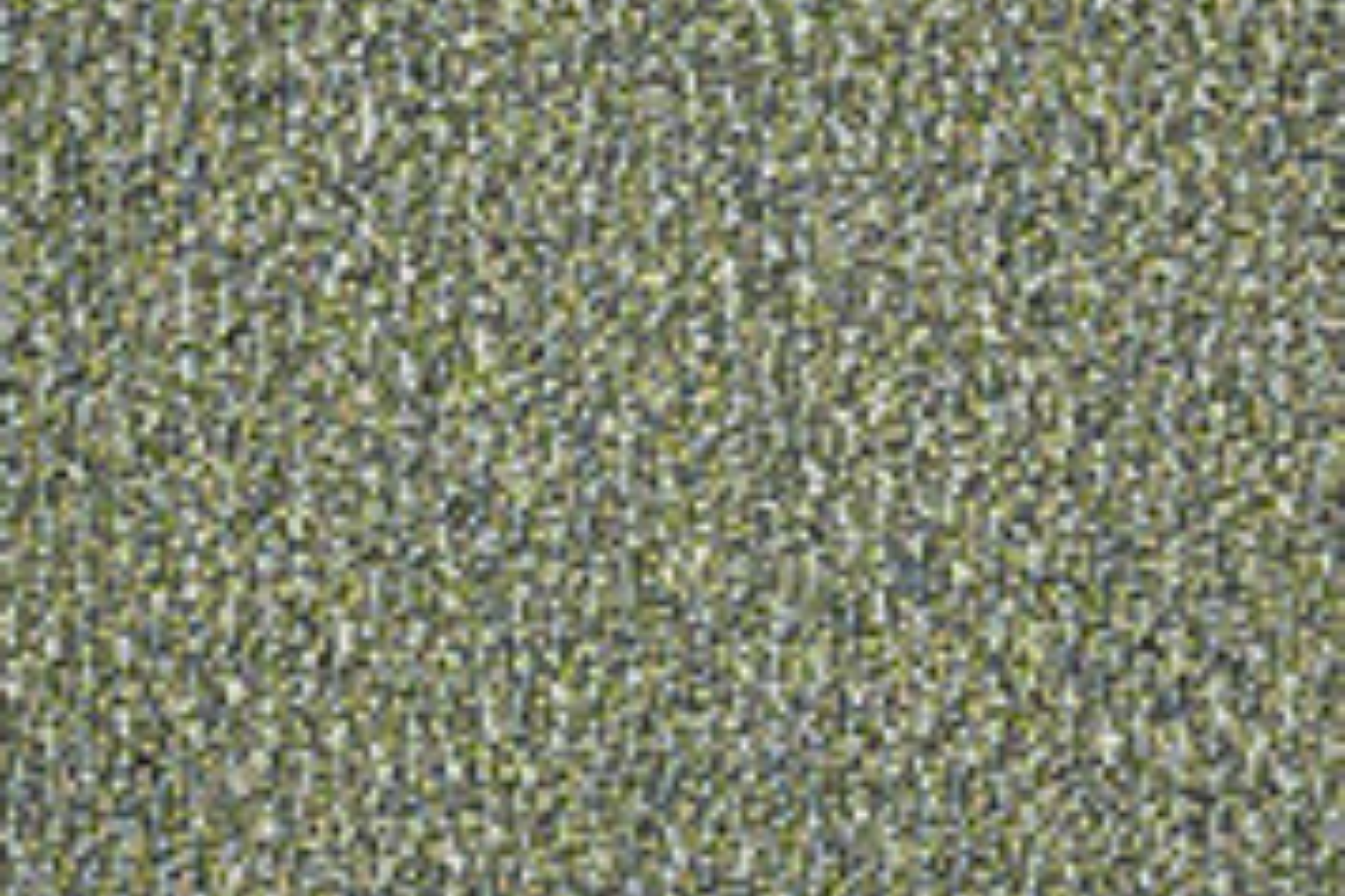 Gray-green static noise pattern filling the frame, resembling television interference.