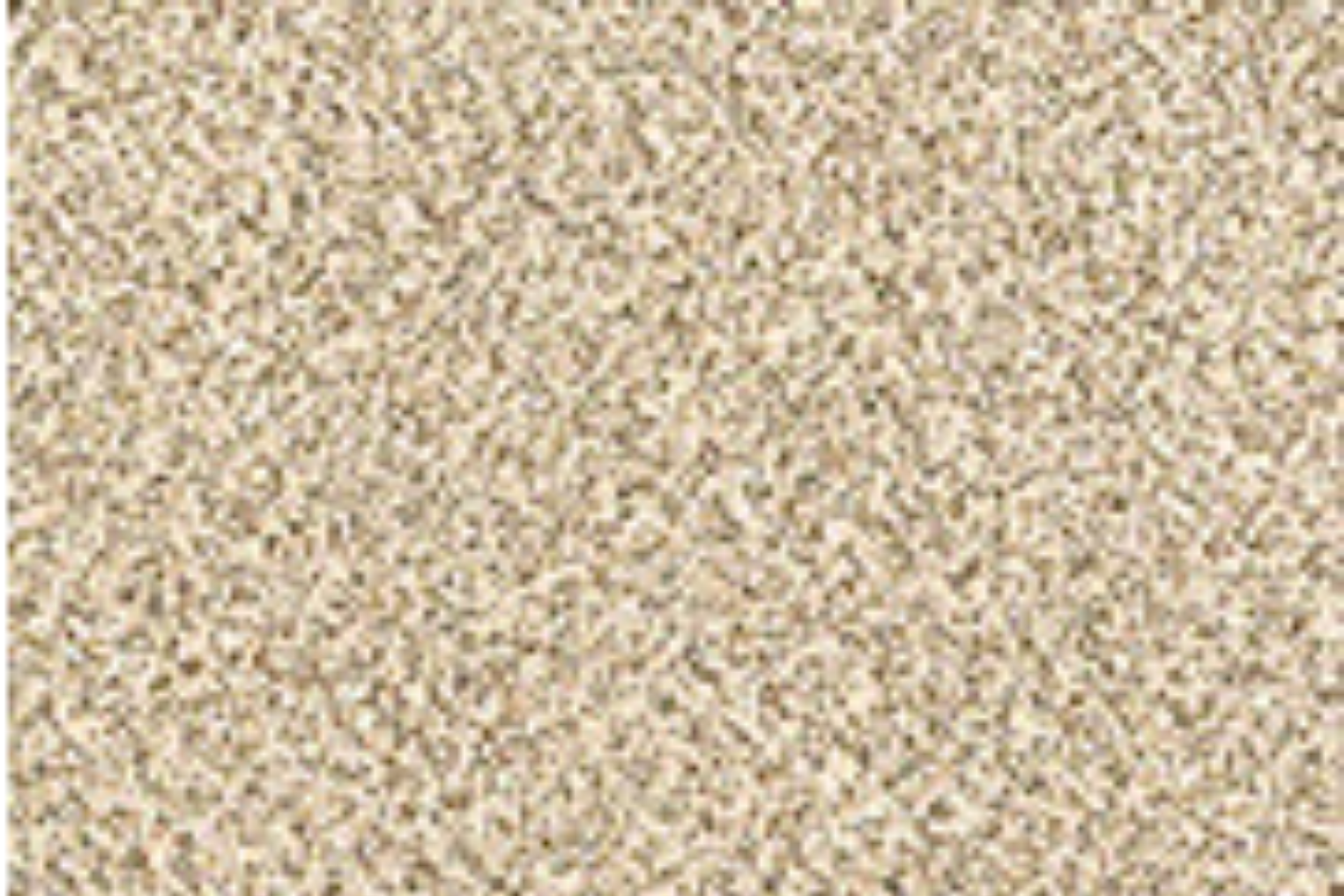 Beige speckled textured surface, like carpet or grainy fabric.