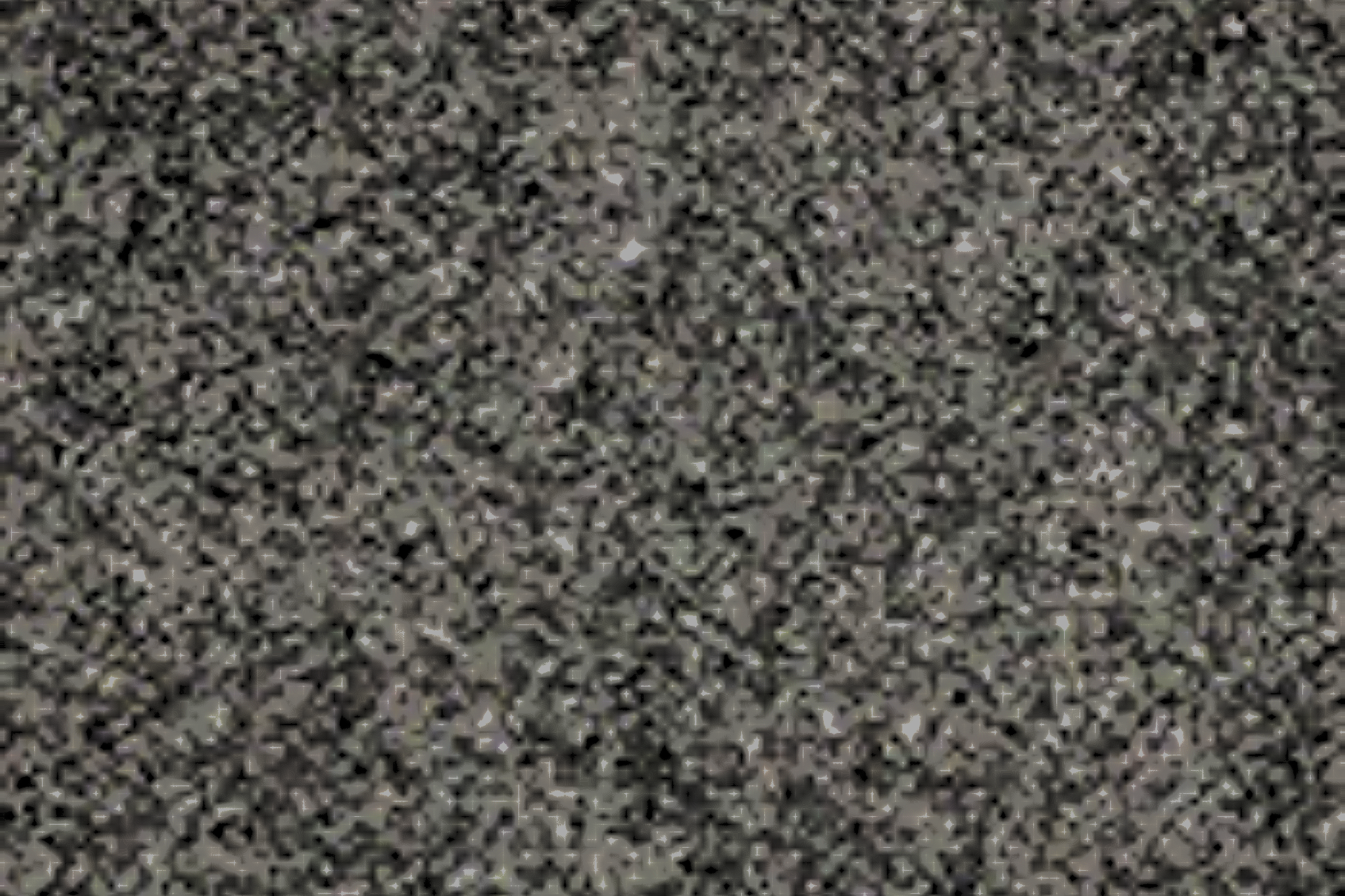 Gray and black static-like noise pattern filling the frame.