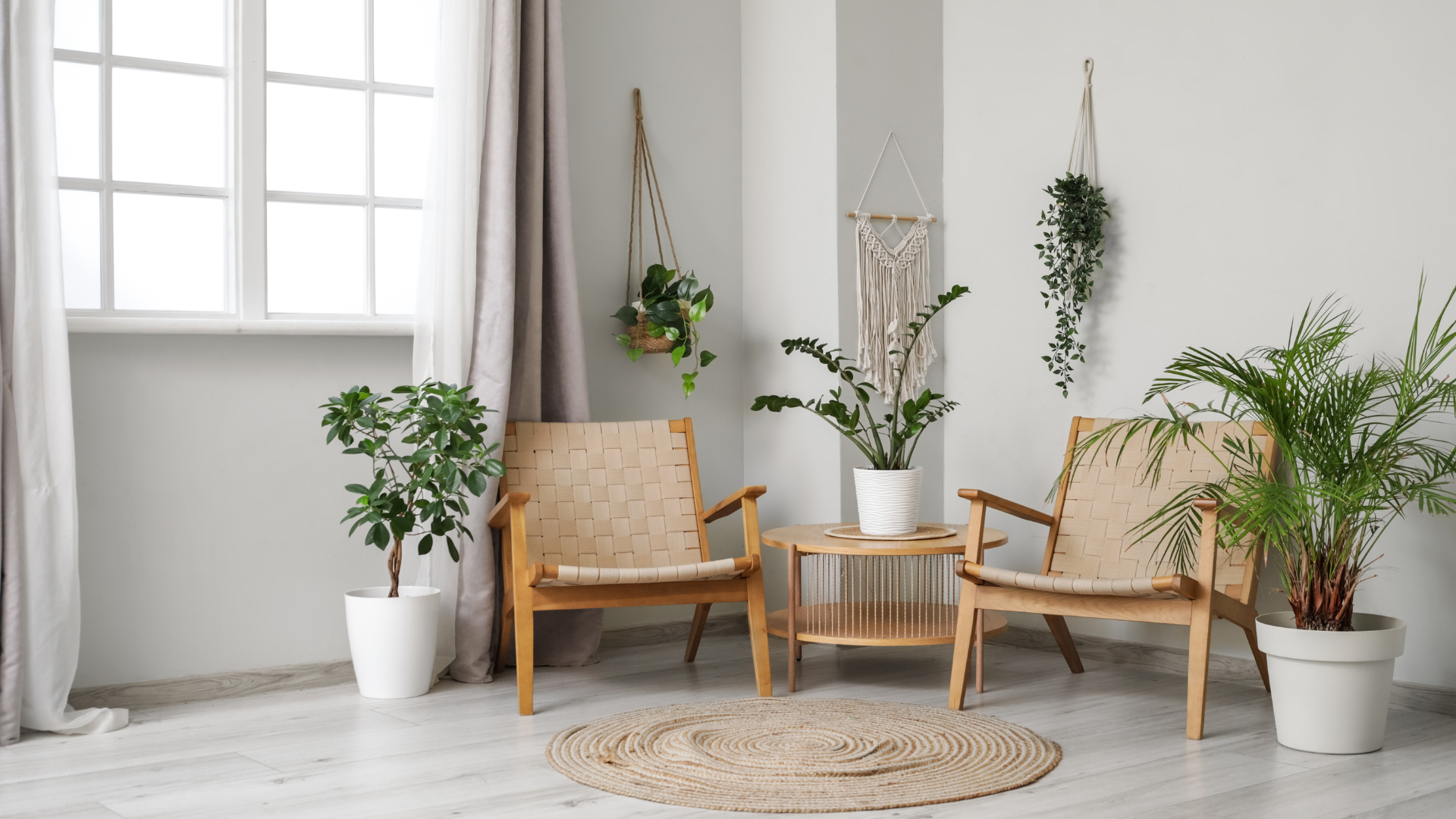 Bright minimalist living room with wicker chairs, small table, rugs, and potted plants by a window
