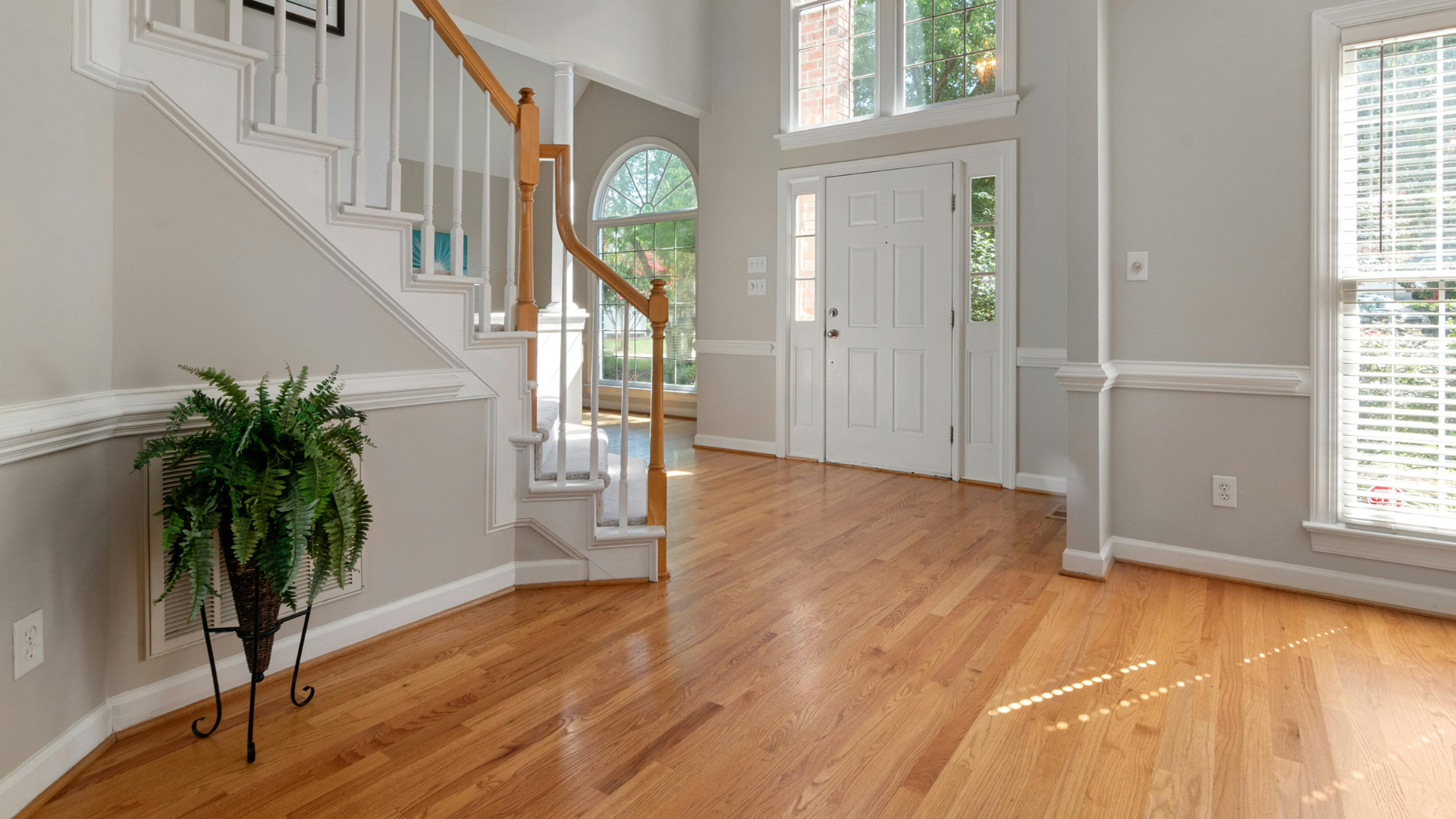 Bright foyer with hardwood floors, staircase, front door, and potted plant in a sunlit home.