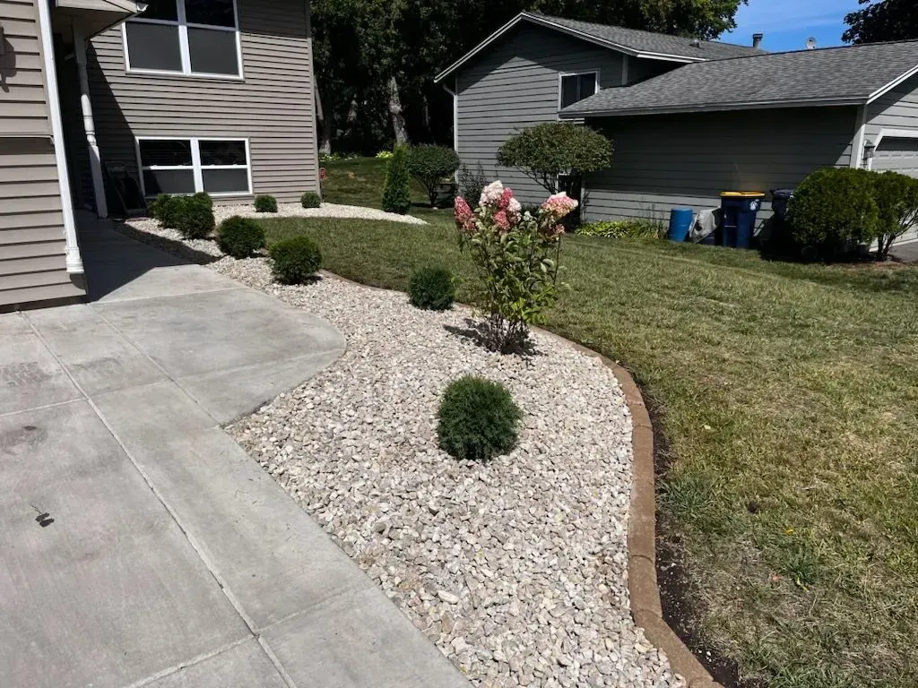 A landscaped front yard with a gravel bed, green shrubs, and a blooming rose bush next to a concrete driveway.