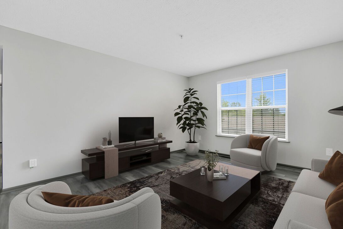 Bright living room with white walls, dark sofa, TV stand, patterned rug, and large window with daylight.