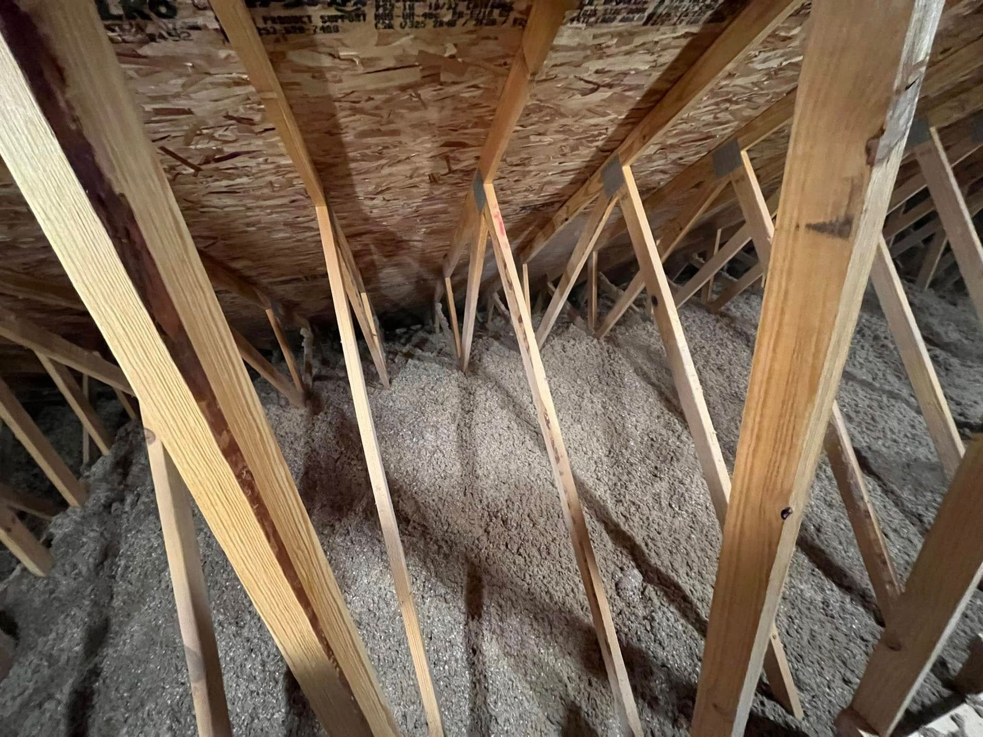 View of an attic with wooden rafters and insulation filling the space. The insulation is gray, and the wood is light brown.