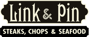 Link & Pin logo
