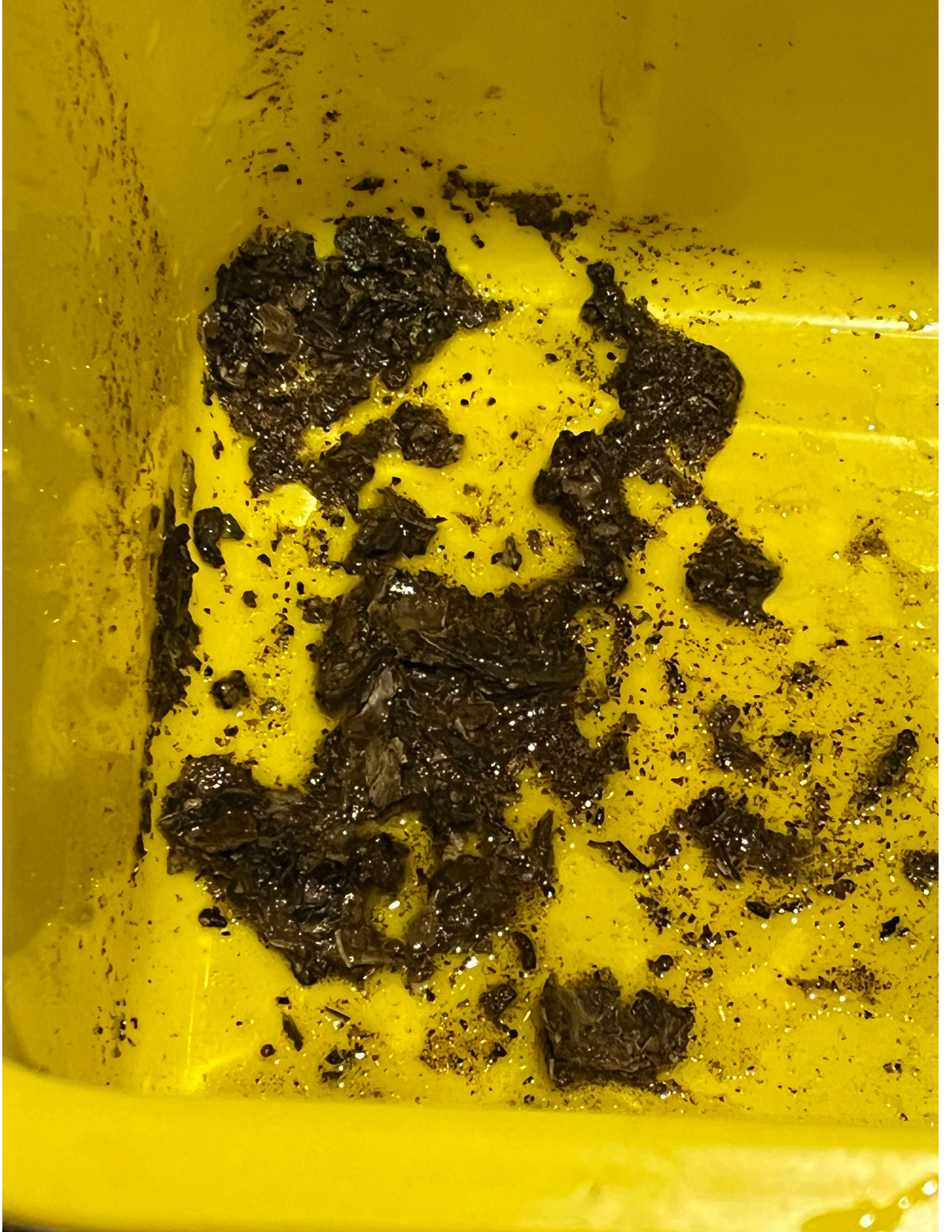 Beer line contaminant run-off from a neglected beer line