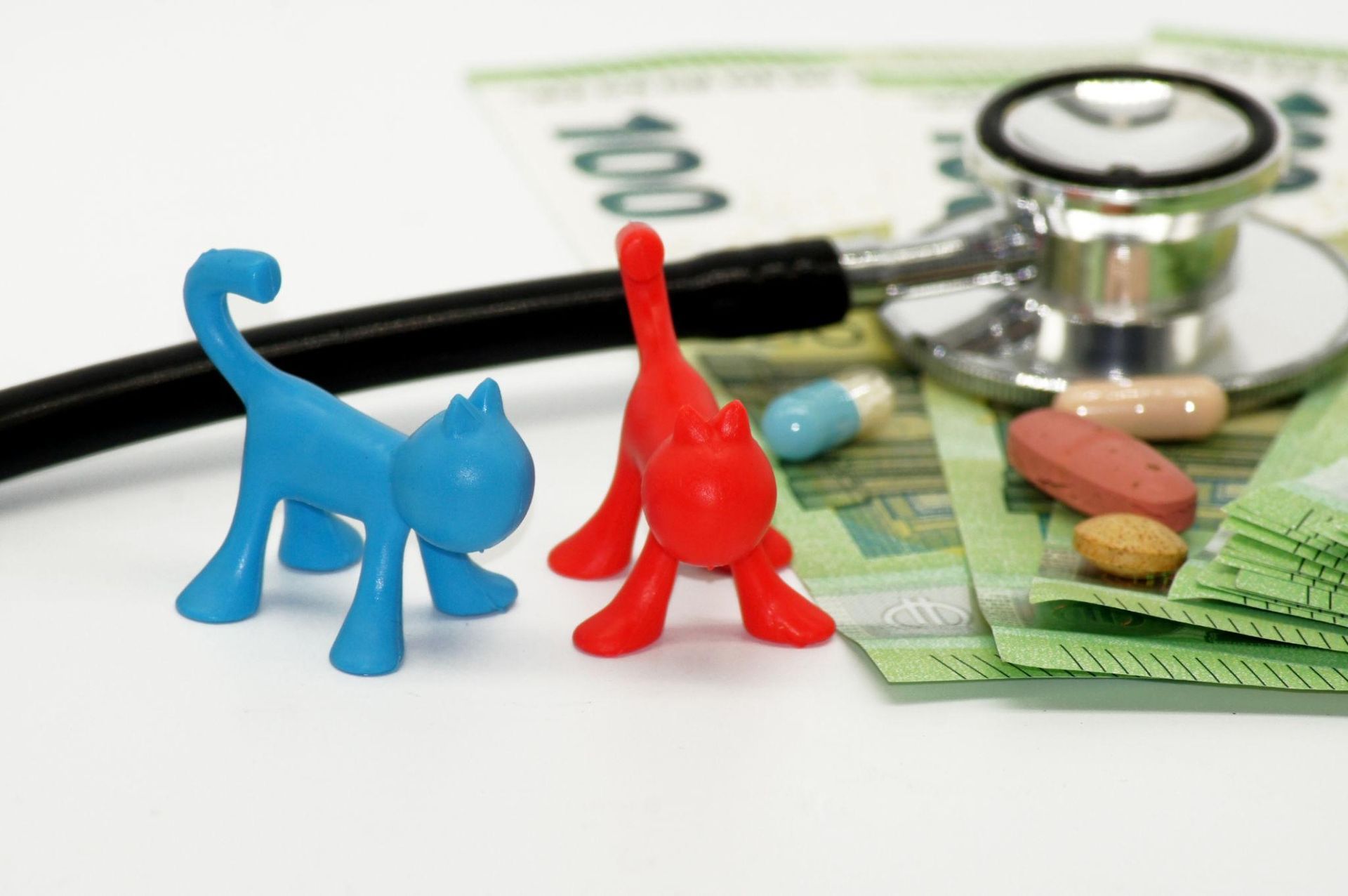 Blue and red cat figurines beside pills, banknotes, and a stethoscope