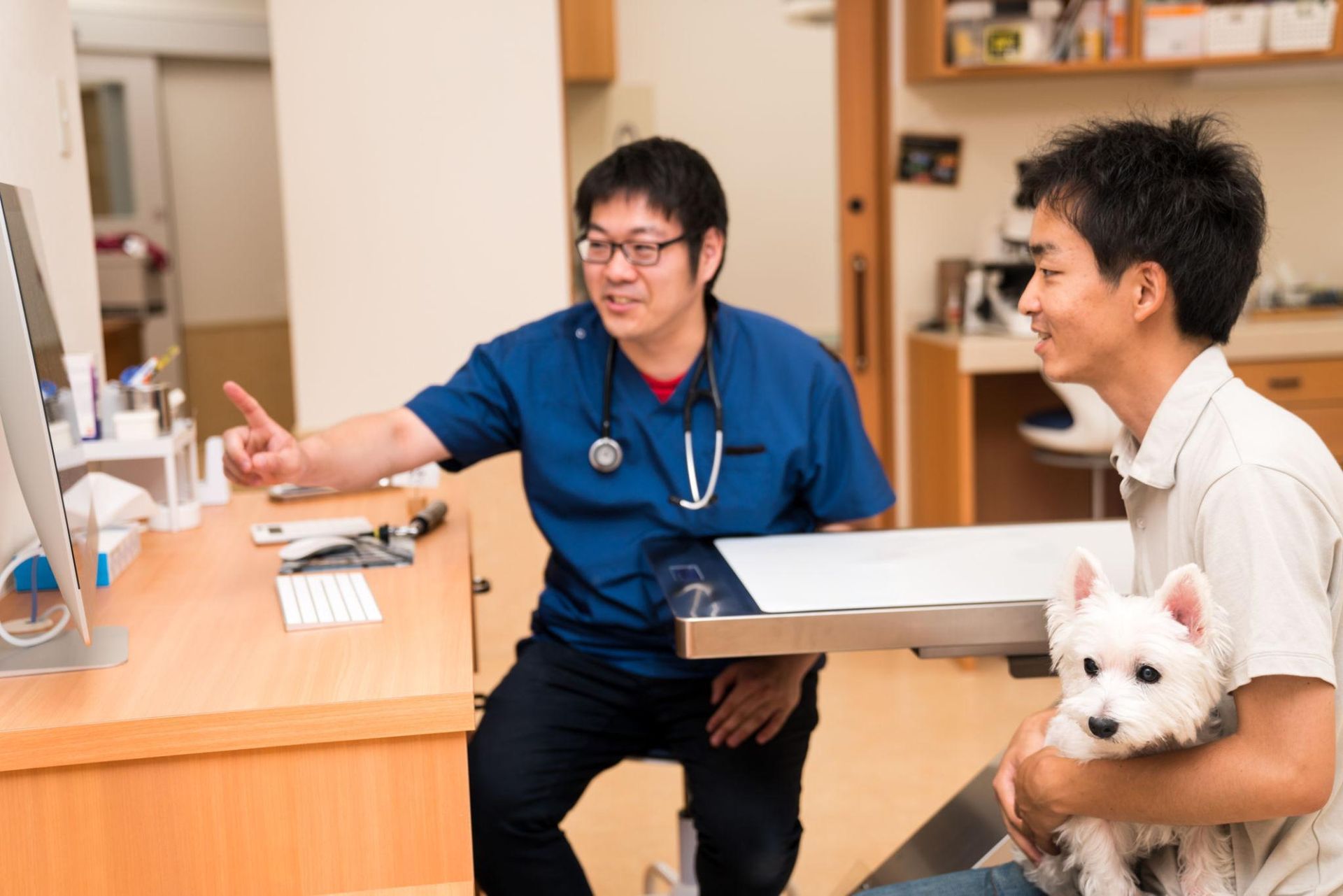 Veterinarian examining a small white dog with an owner in a clinic, while a staff member points at a monitor.