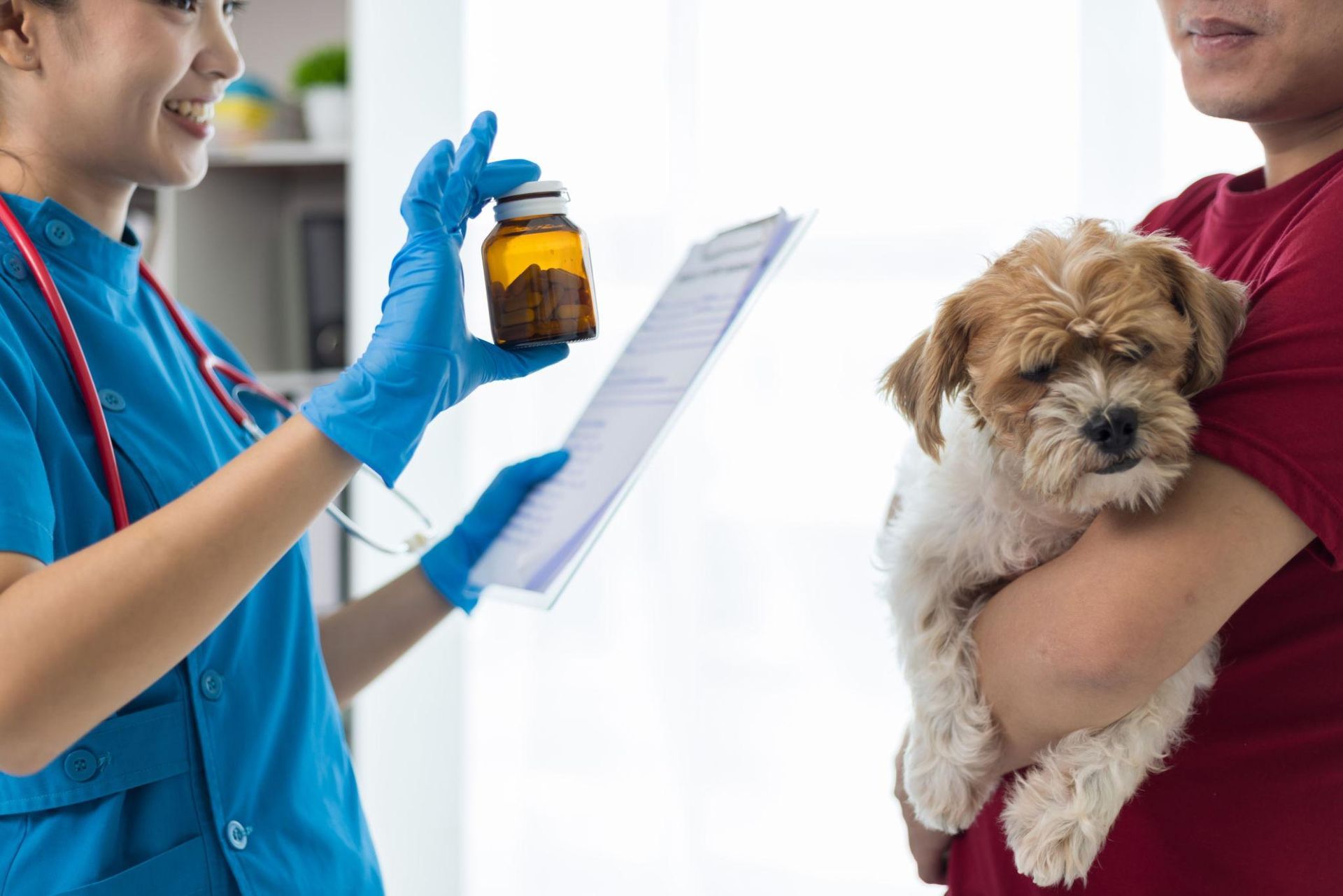 Veterinarian holding a medicine bottle and clipboard while speaking to a pet owner holding a small dog
