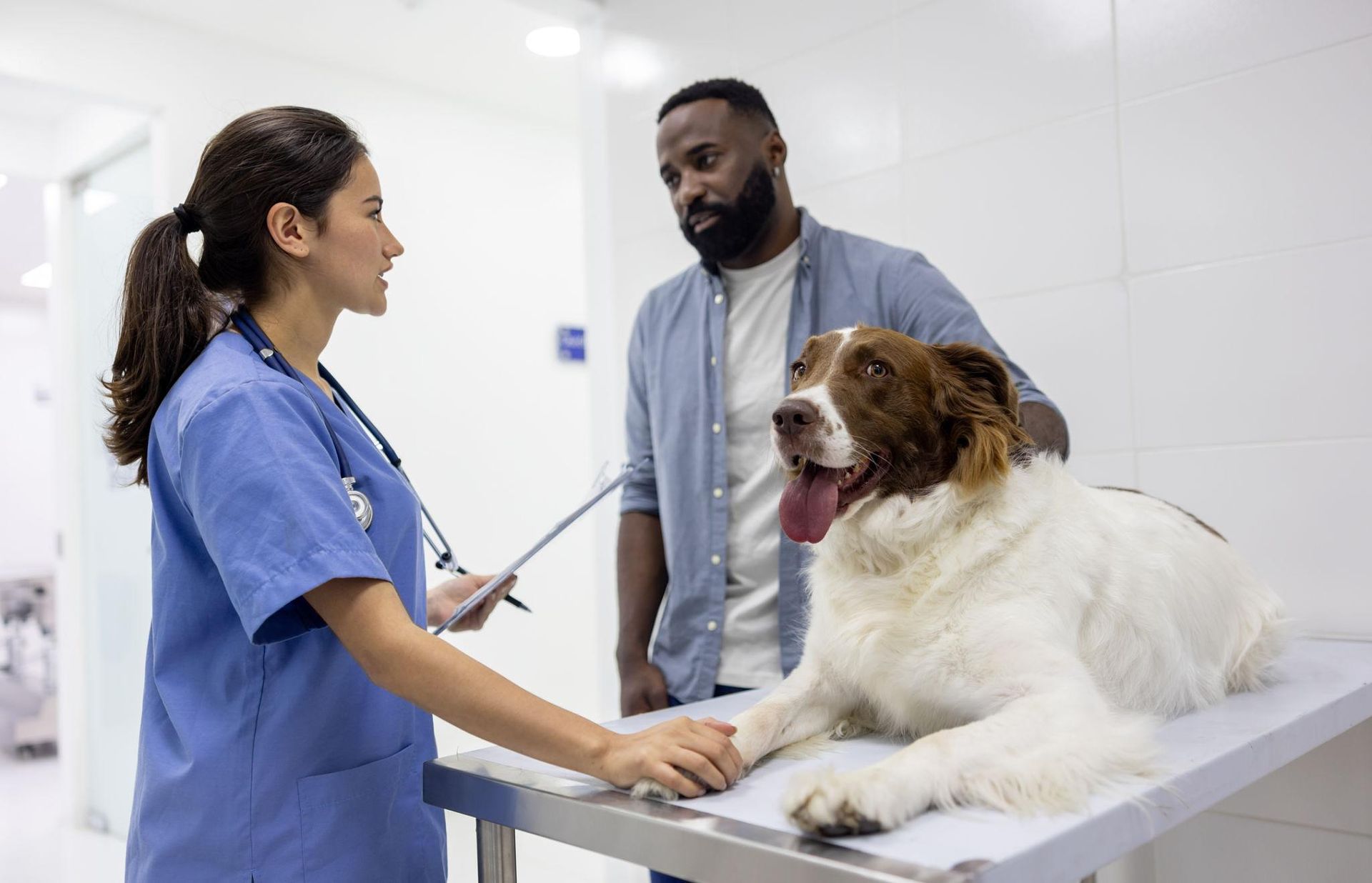 Veterinarian examining a large dog while speaking with a pet owner in a clinic