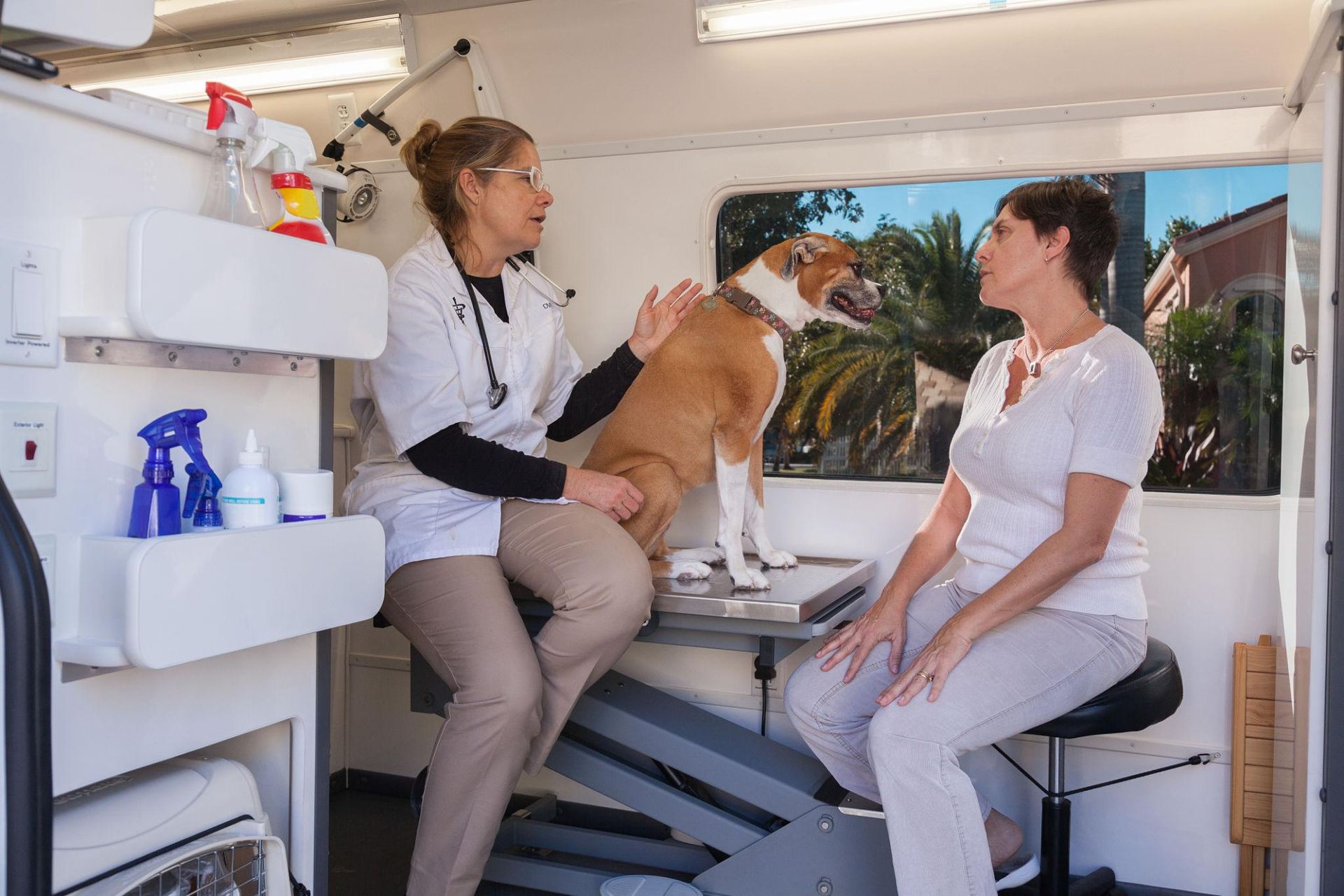 Veterinarian examining a dog on a clinic table while speaking with a seated woman in a bright mobile vet van