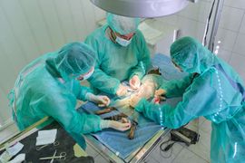 Surgeons in green scrubs perform an operation under bright surgical lights in an operating room