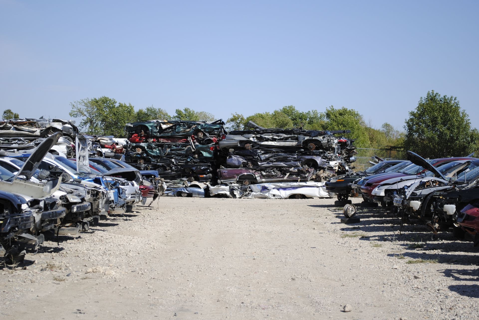 Salvaged vehicles lined up for parts processing at a local automotive wrecking business.