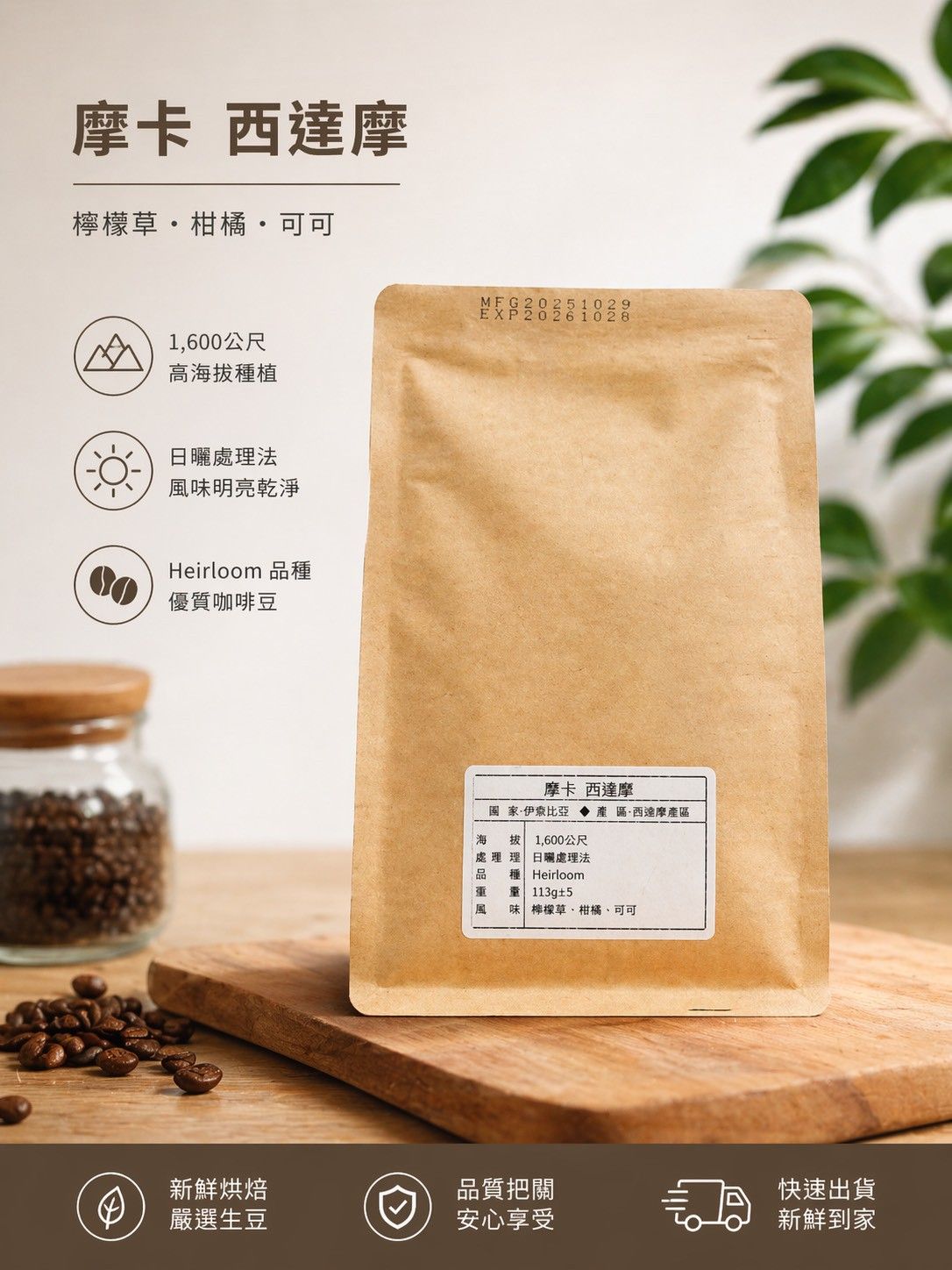 精品咖啡豆 - 摩卡 西達摩