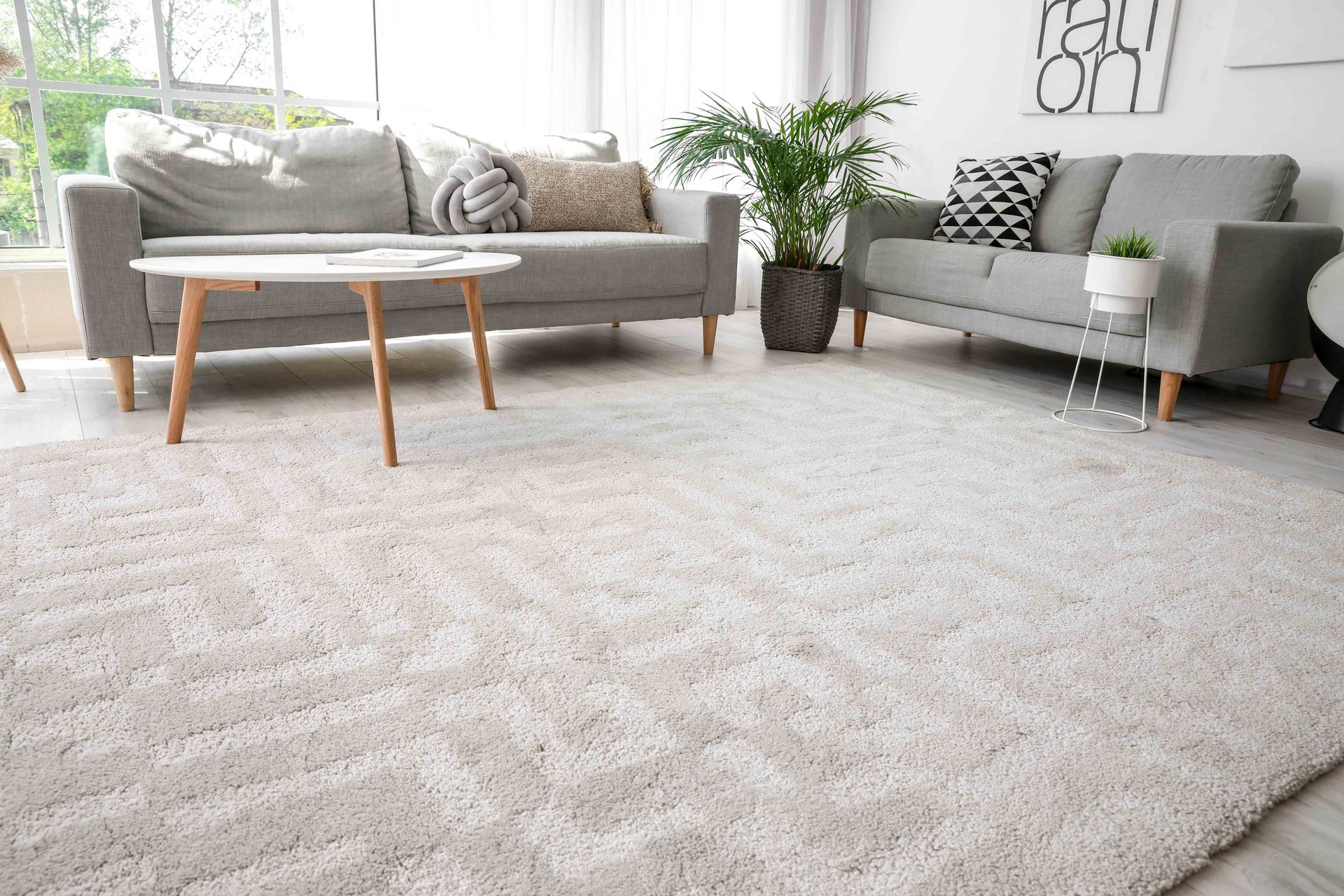 Living room with gray sofas, white rug, coffee table, and potted plants.