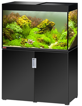 one of our aquariums