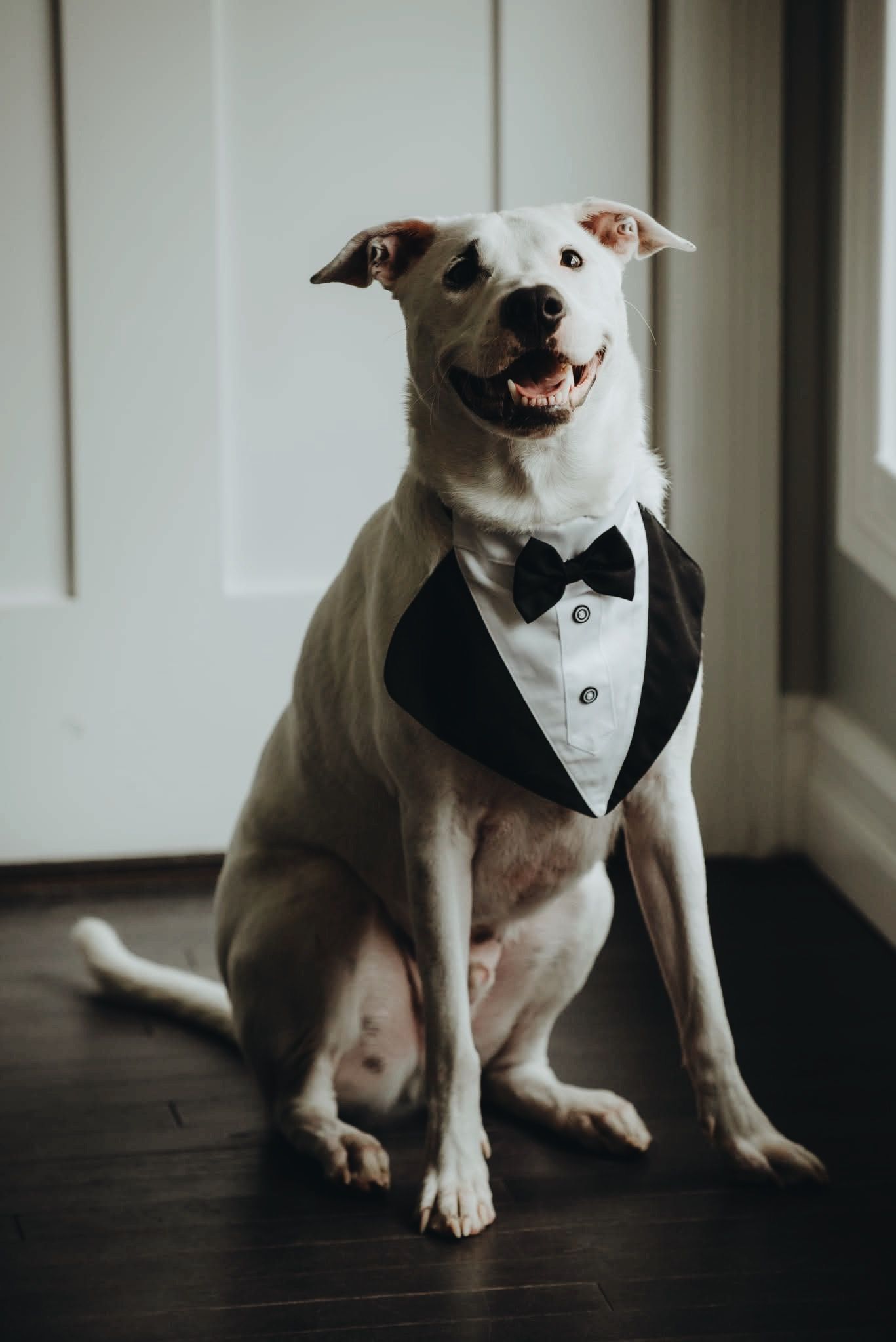 michiganweddingbarns