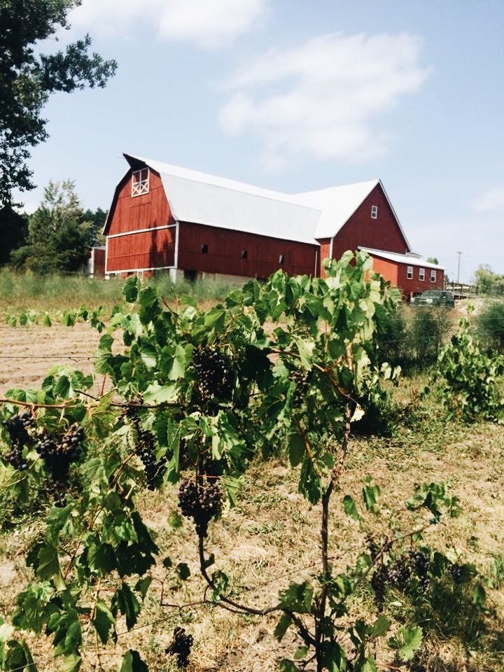 michiganweddingbarns