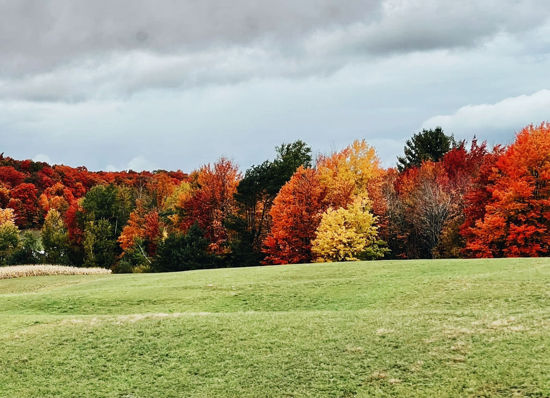 michiganweddingbarns
