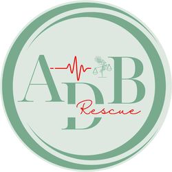 ADB RESCUE logo