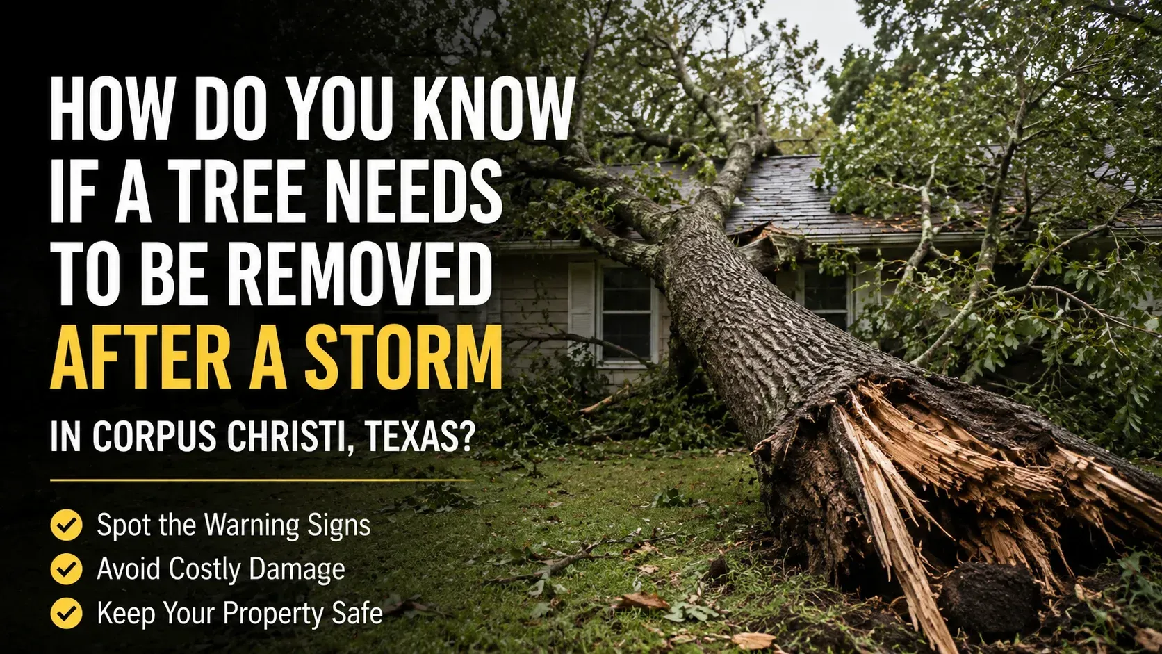 A large, fallen tree split and resting on a residential house roof after a severe storm, demonstrating the damage that answers the question: how do you know if a tree needs to be removed after a storm.
