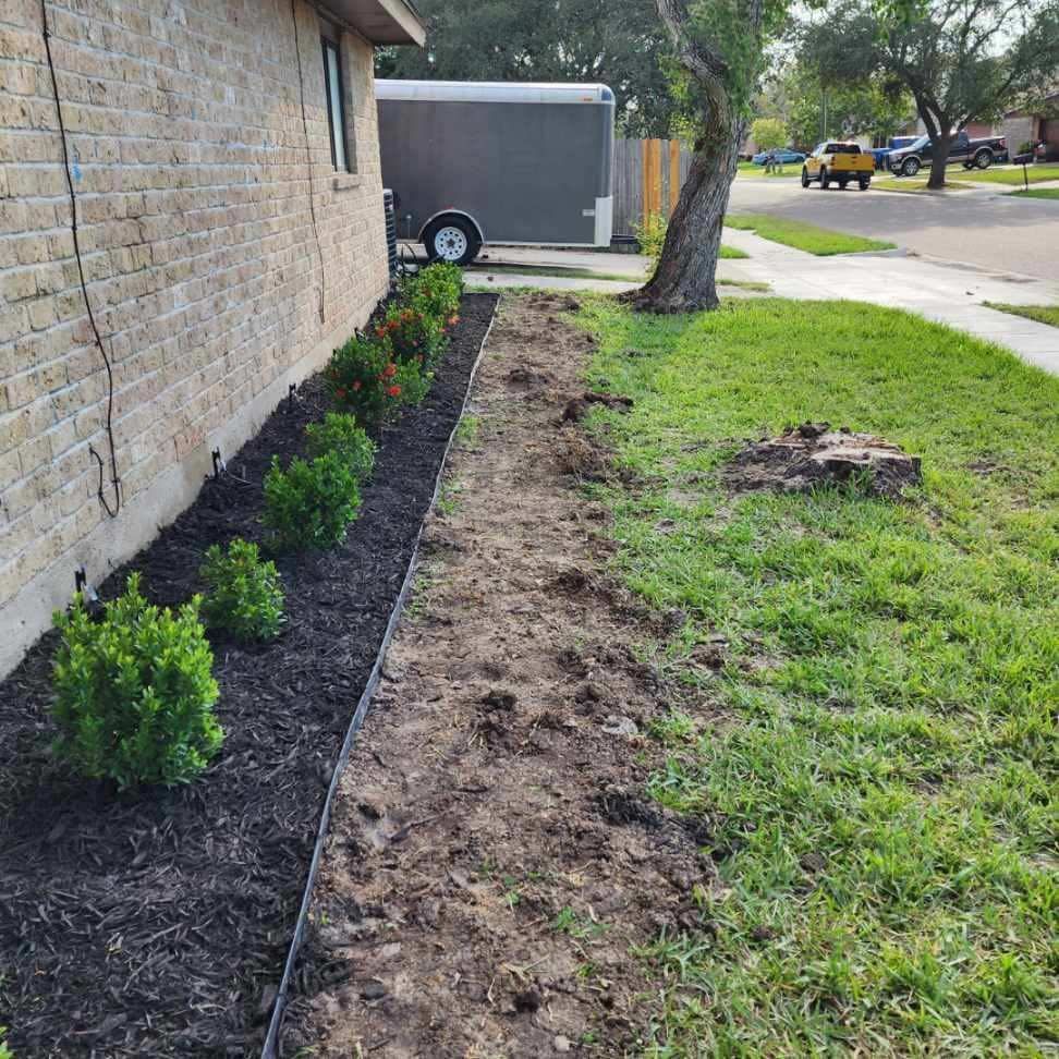 A landscaped yard with green bushes, dark mulch, and a dirt patch next to a building and a sidewalk.