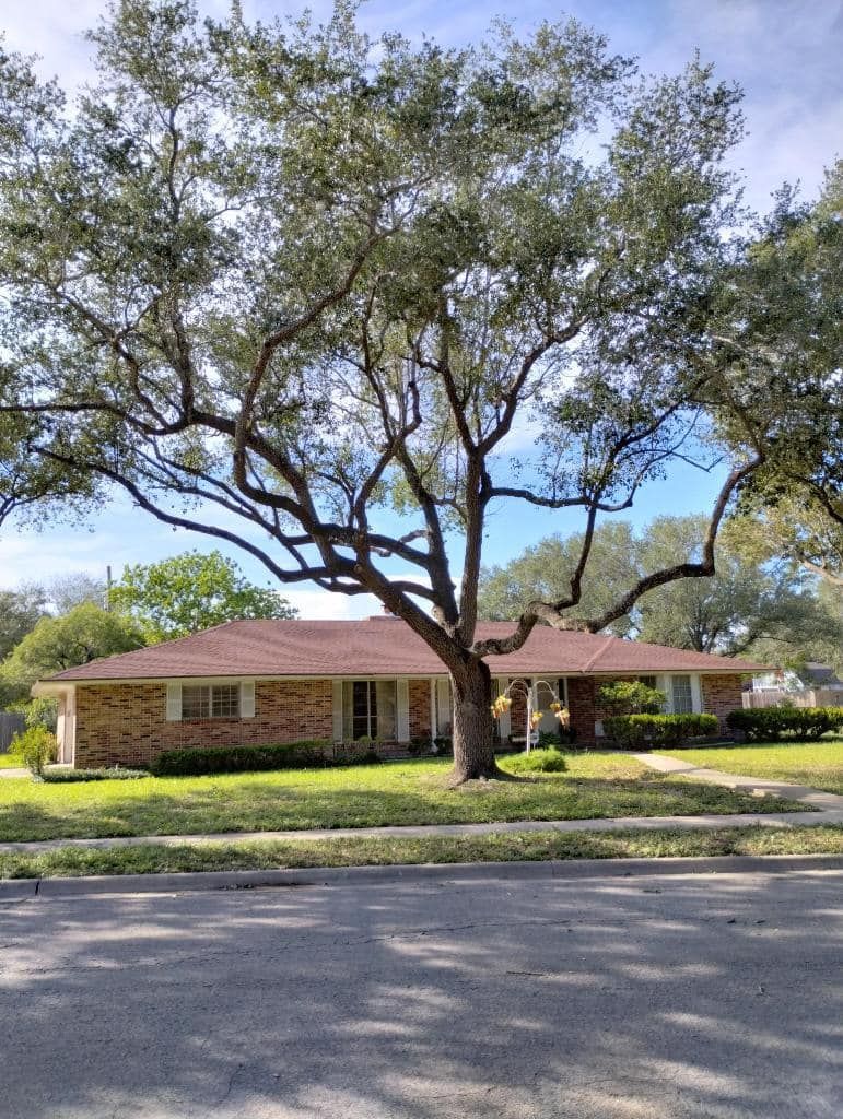 Brick house with brown roof under a large tree, with lawn in front.