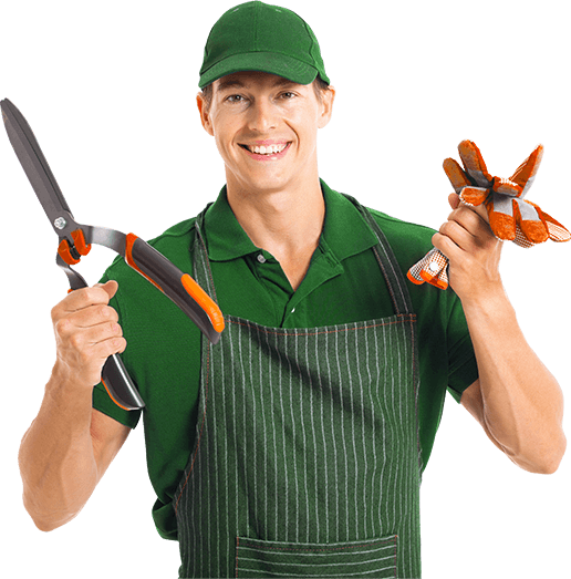 Gardener smiling, holding pruning shears and gloves, wearing green uniform and apron.