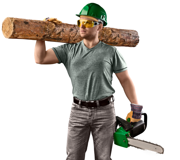 Lumberjack with log on shoulder, holding chainsaw, wearing green hard hat and safety glasses.