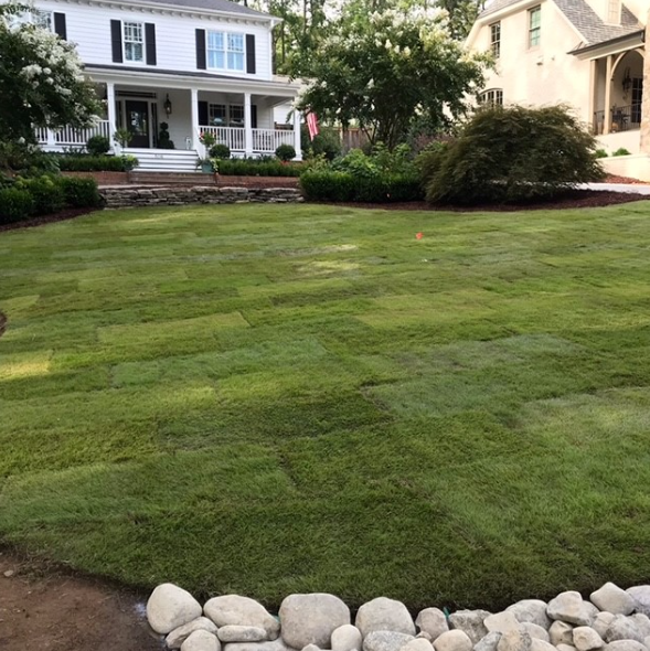 Front lawn with freshly mowed grass, stone border, and a white house with a porch in the background