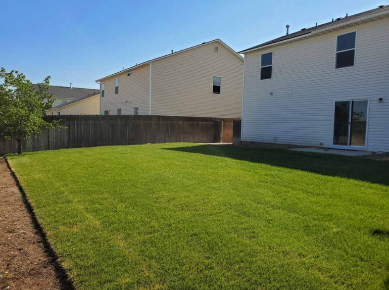 Backyard with a green lawn, wooden fence, and neighboring houses in bright sunlight