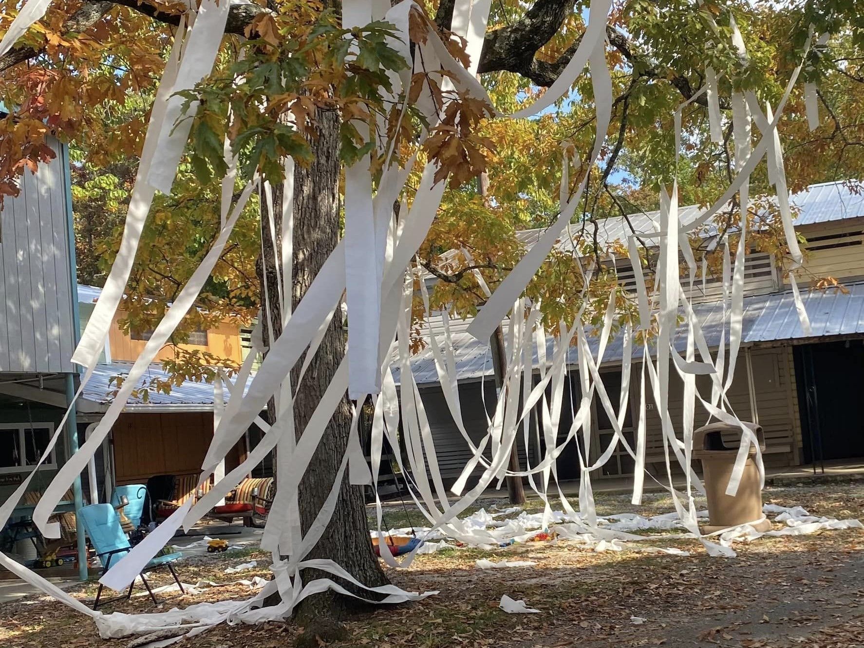 Trees wrapped in long white streamers in an outdoor courtyard with buildings and fallen leaves