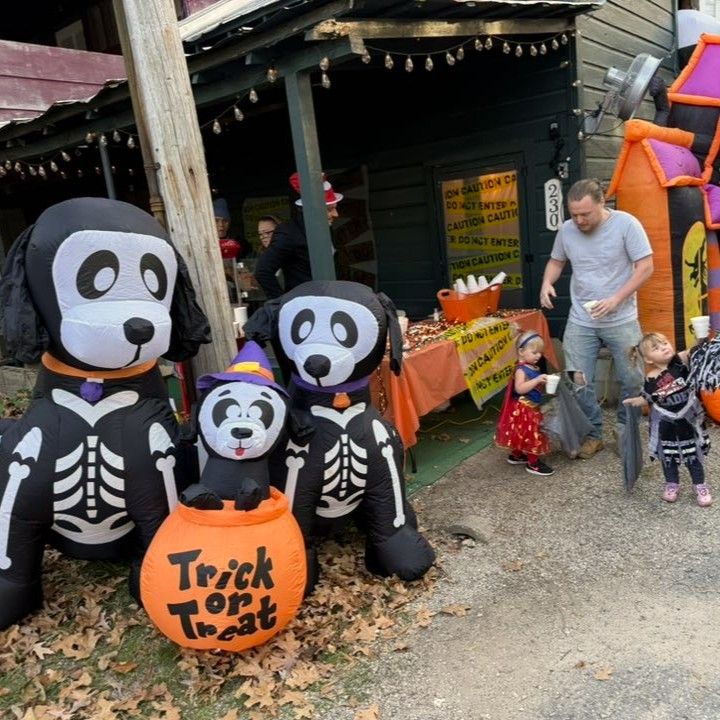 Halloween display with three black-and-white skeleton dog decorations and a 