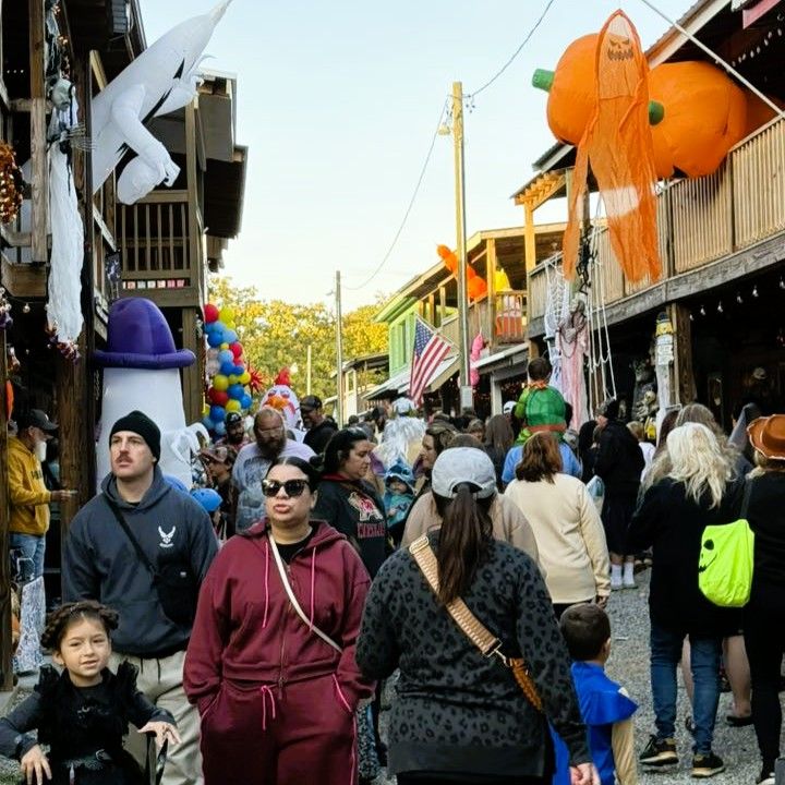 Crowded boardwalk festival with people walking past colorful decorations and flags