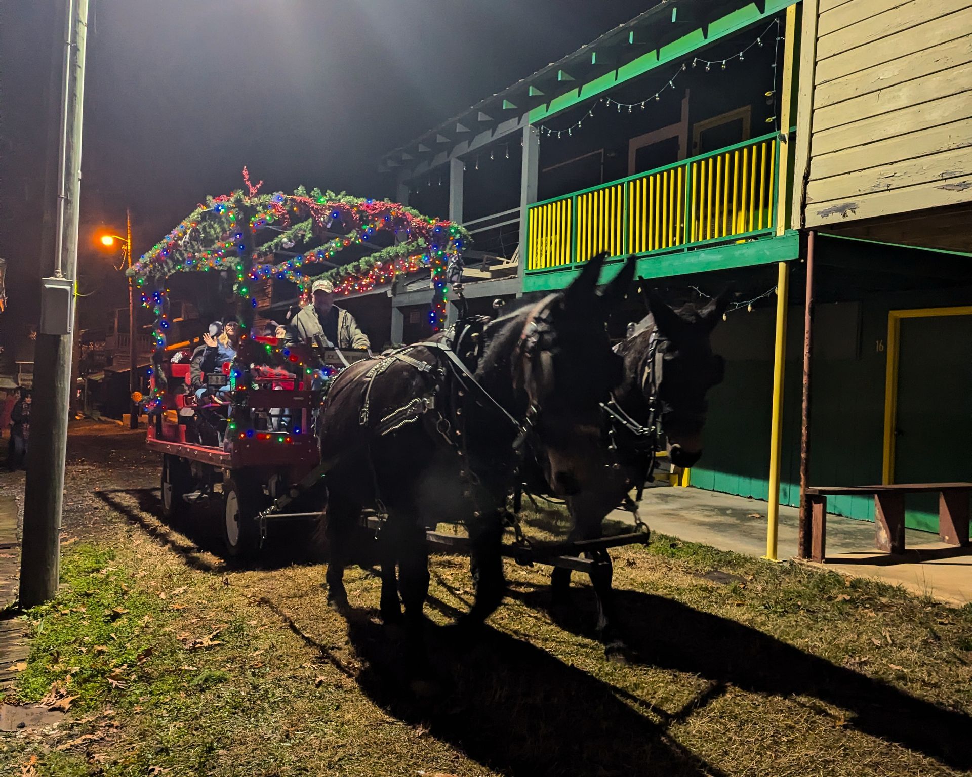 Horse-drawn carriage lit with colorful lights at night on a street beside a building.