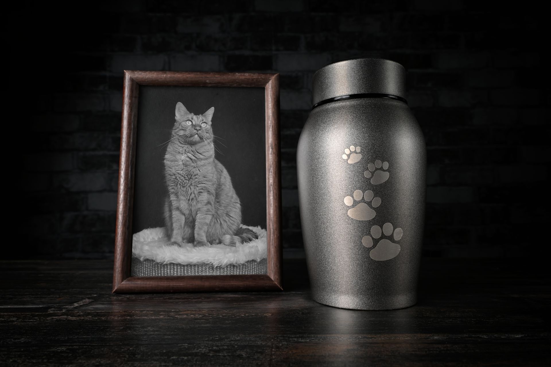 Framed gray cat portrait beside a black paw-print urn on a dark background