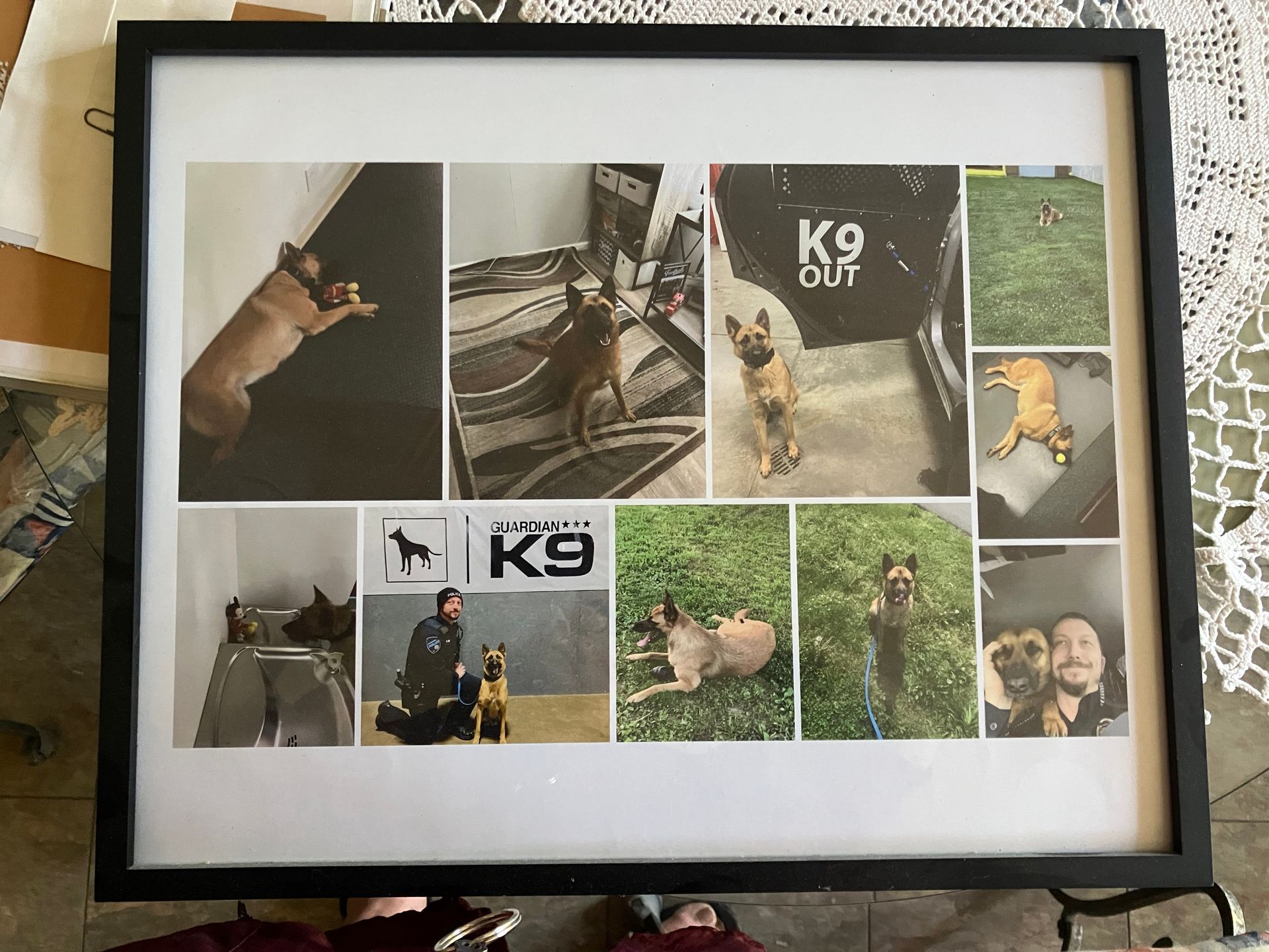 Framed K9 photo collage with service dog scenes and a black-and-white dog portrait