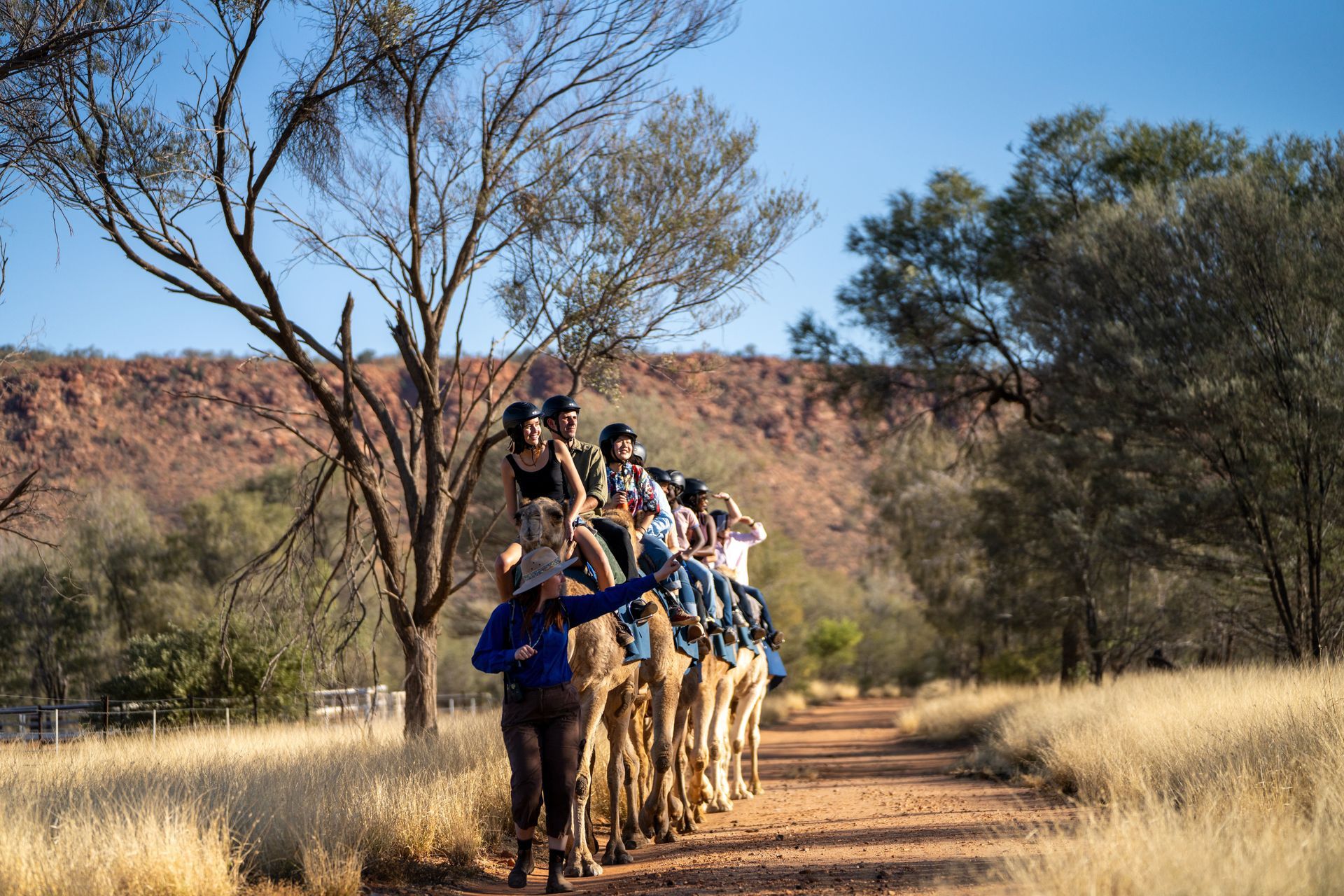 A group of people are riding camels down a dirt road.