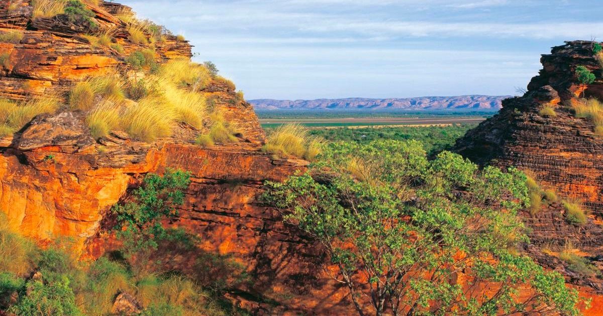 A cliff with trees on it and a river in the background.