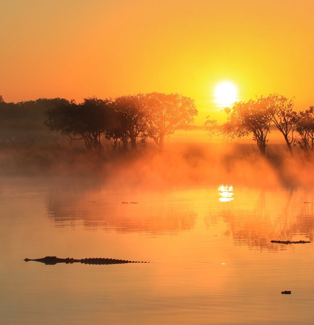 The sun is setting over a lake with trees in the background.