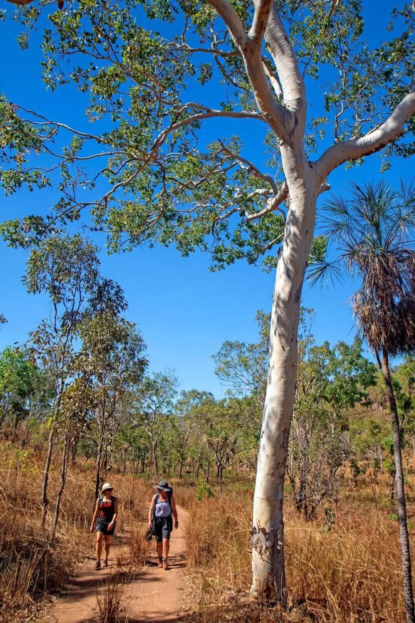 Two people are walking down a dirt path in the woods.