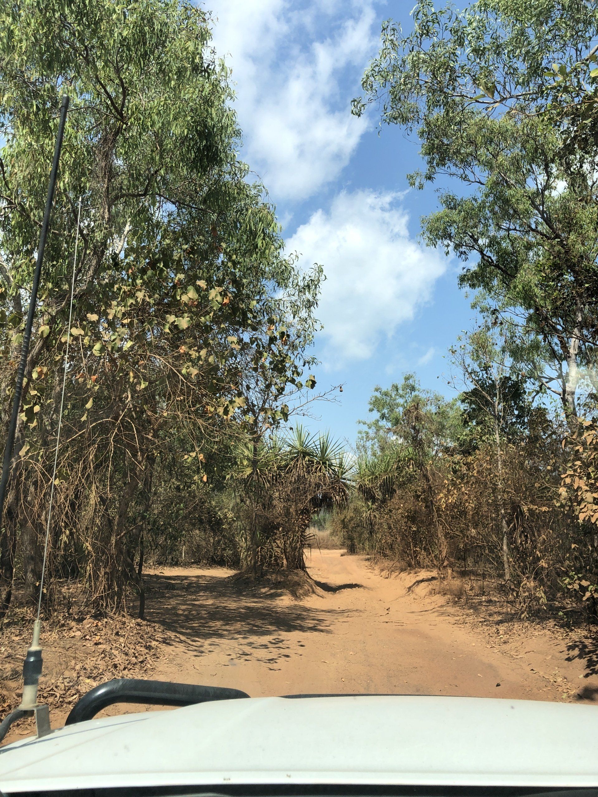 A car is driving down a dirt road surrounded by trees.