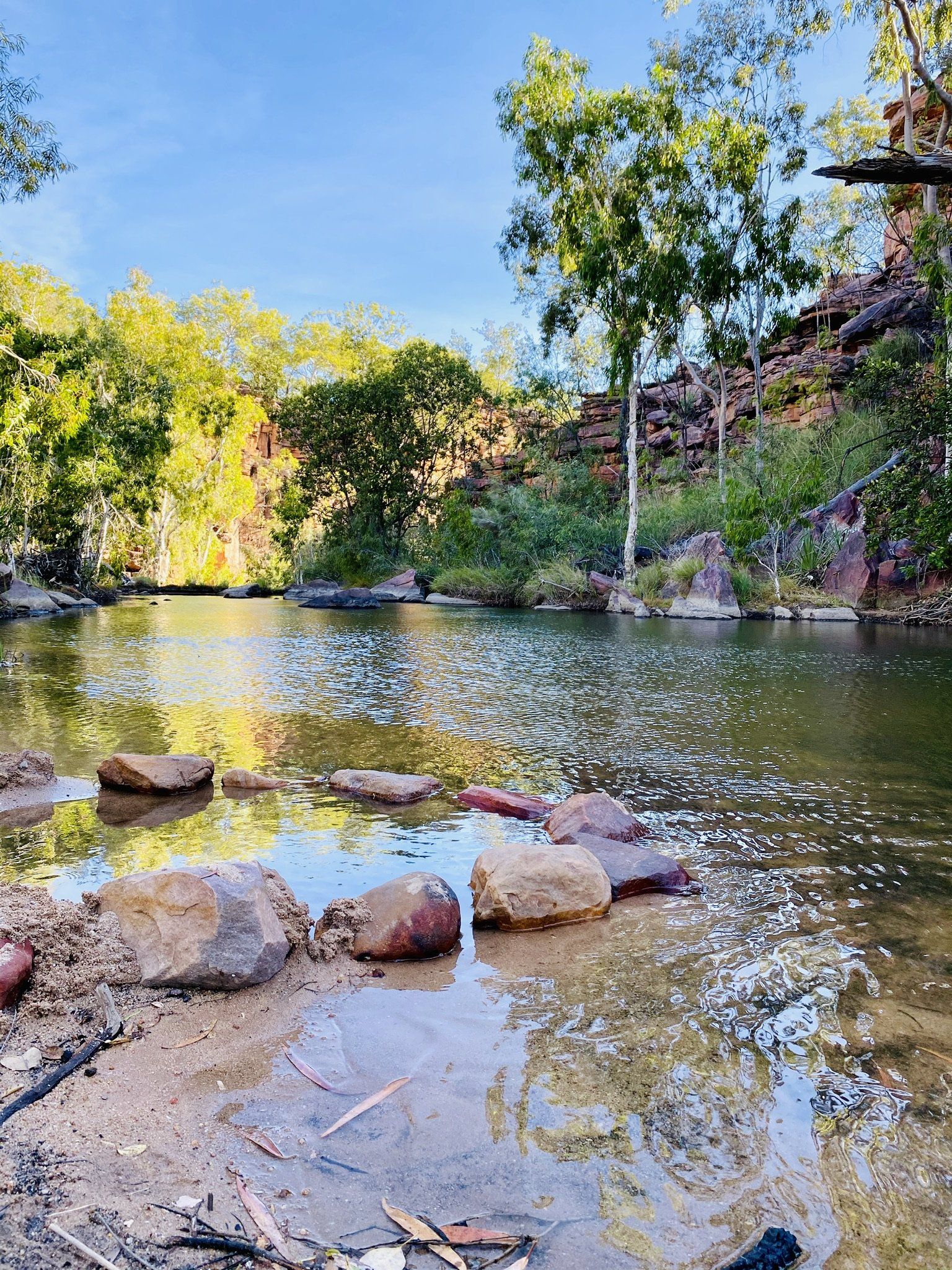 A river surrounded by trees and rocks in the middle of a forest.